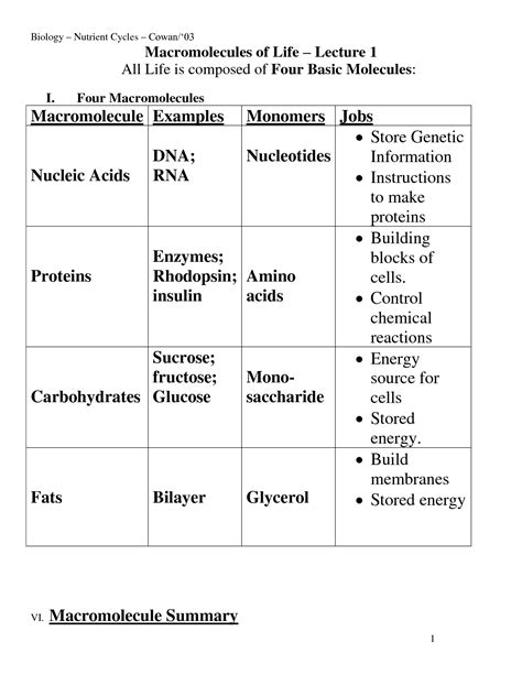 Biological Macromolecules Worksheet